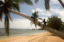 11: Boys on a coconout tree at Sainte Marie