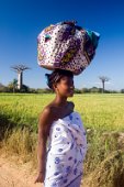 12: Sakalava woman at the  Allee des Baobabs